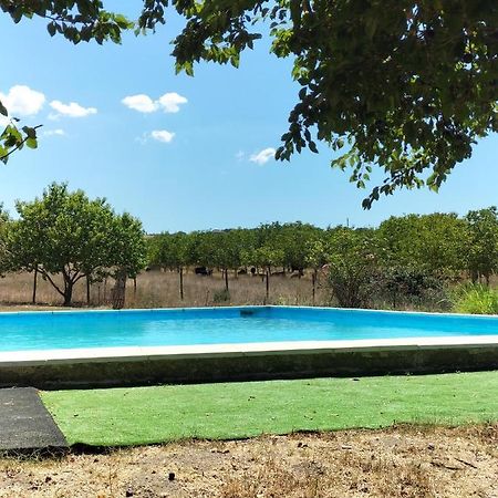 Rod Ranch Livestock - Stanza Doppia Con Letti Singoli Villa Campagnano Di Roma Luaran gambar