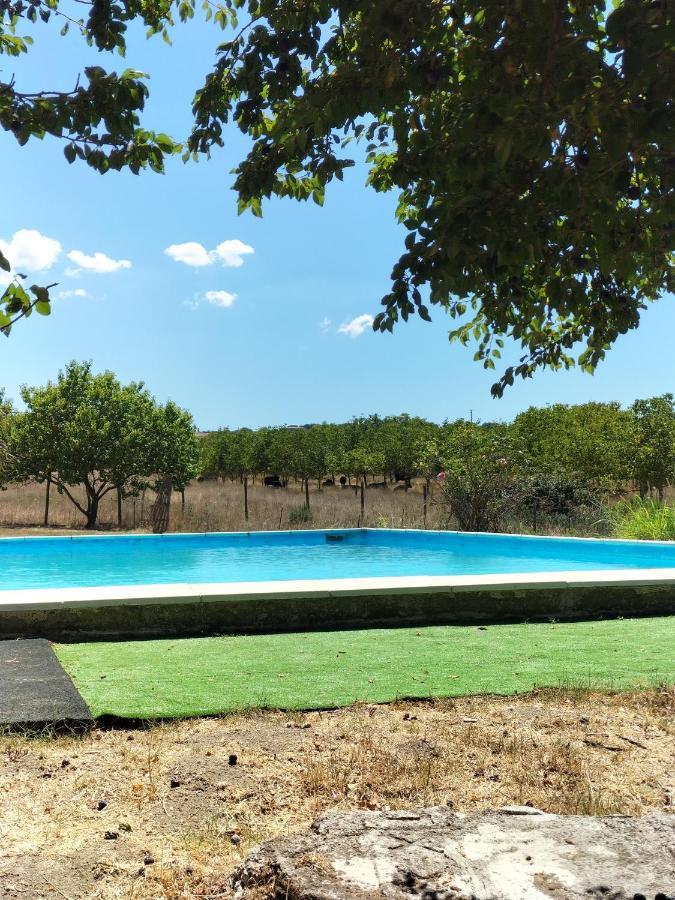 Rod Ranch Livestock - Stanza Doppia Con Letti Singoli Villa Campagnano Di Roma Luaran gambar